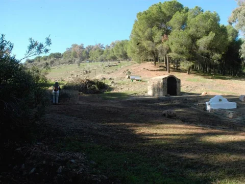 Dehesa del Santo Cristo y sus senderos · Baños de la Encina (4)
