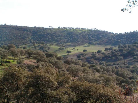 Parque Natural Sierra de Andújar · Baños de la Encina (2)