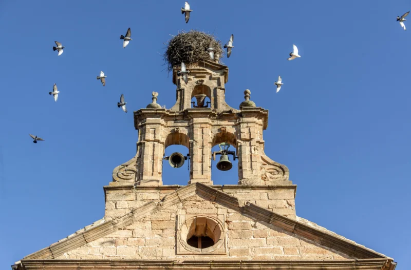 Tour 3 monumentos: Descubre 3 obras de arte (2)