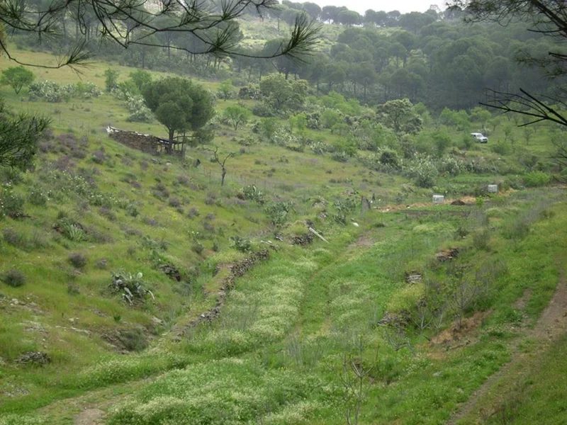 Ruta a pie por el sendero del Bronce (7)